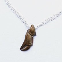 Closed Crab Claw Pendant - Donna Hiebert Artist